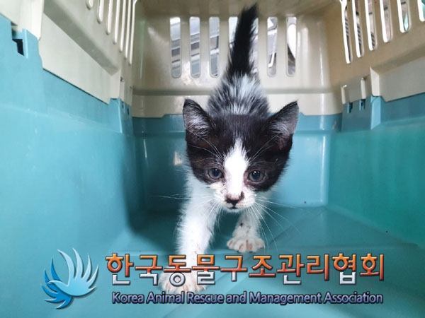 한국동물구조관리협회_411322202300340